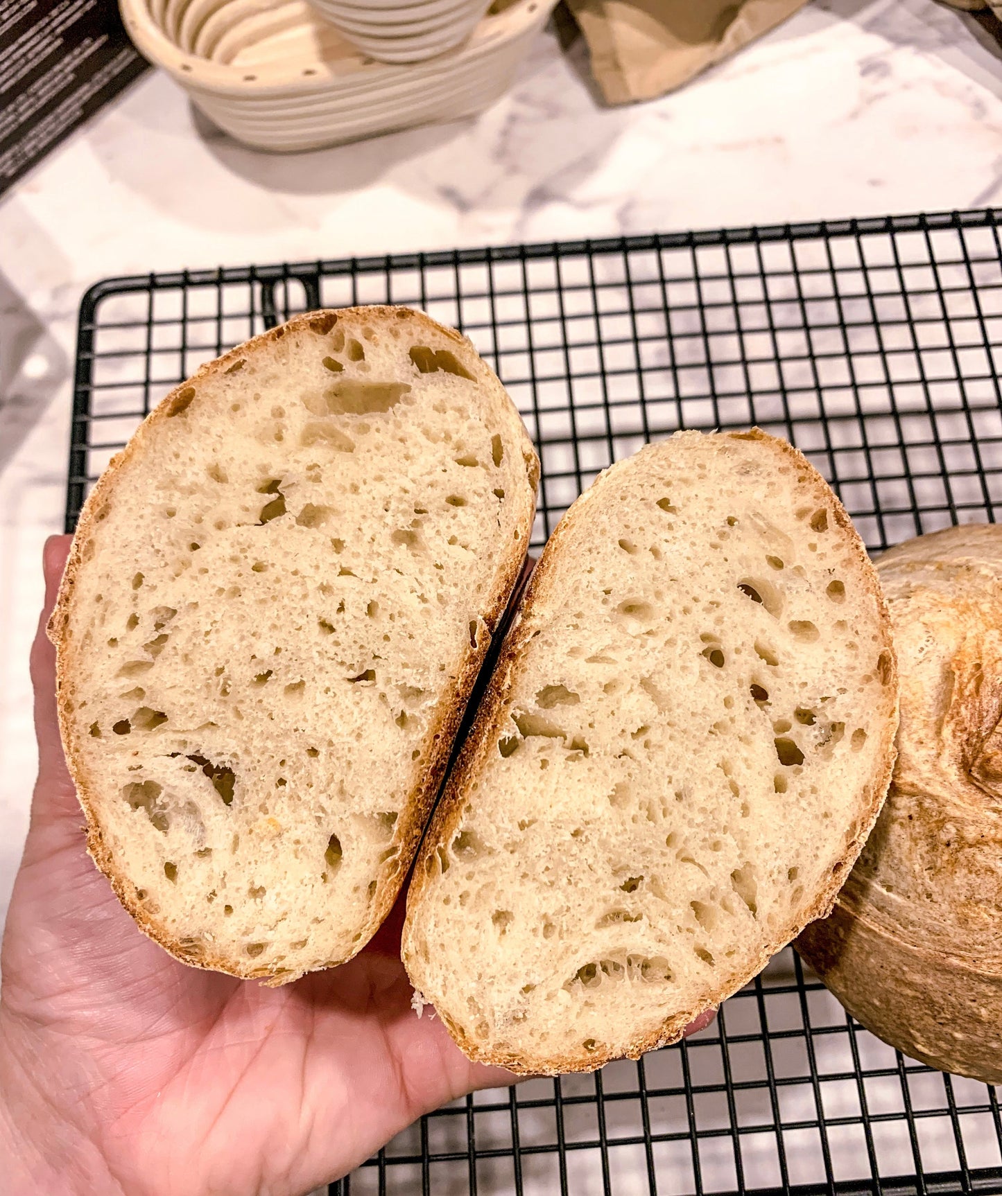 Sourdough Starter Bundle